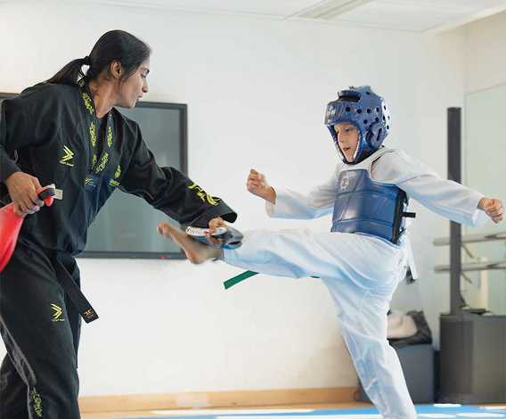 Taekwondo 2