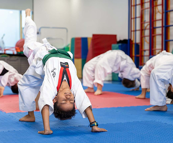Taekwondo 4